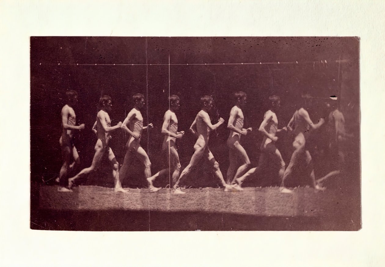 Marey Wheel-fotografier af George Reynolds, 1884. af Thomas Eakins