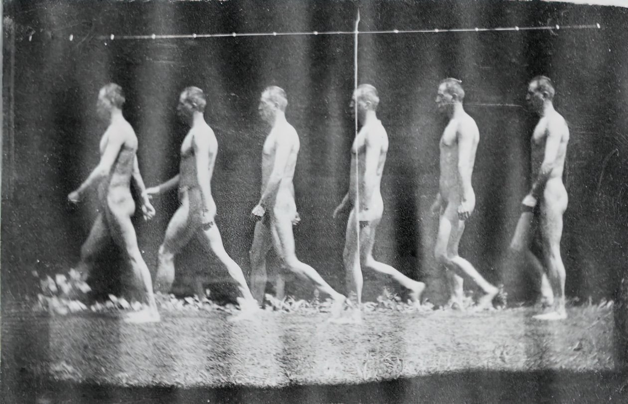 Marey Wheel-fotografier af Jesse Godley, 1884. af Thomas Eakins