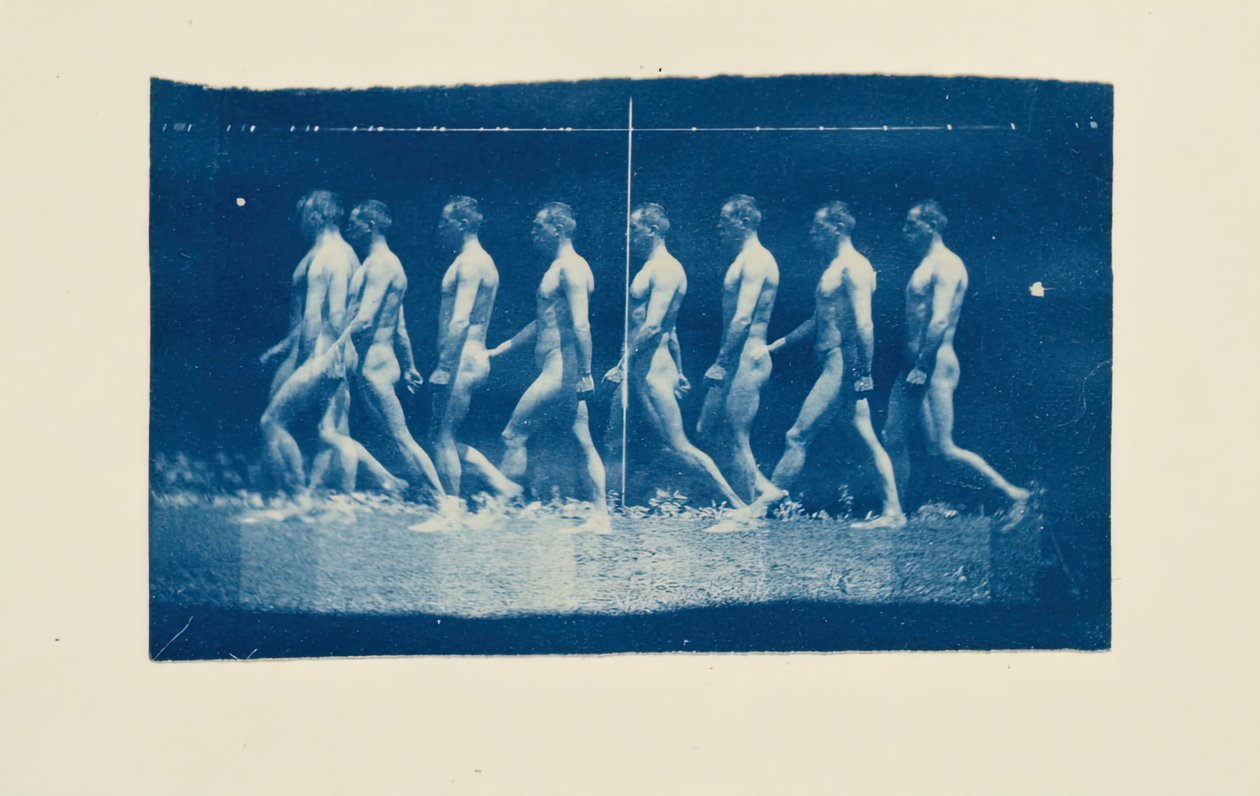 Marey Wheel-fotografier af Jesse Godley, 1884. af Thomas Eakins