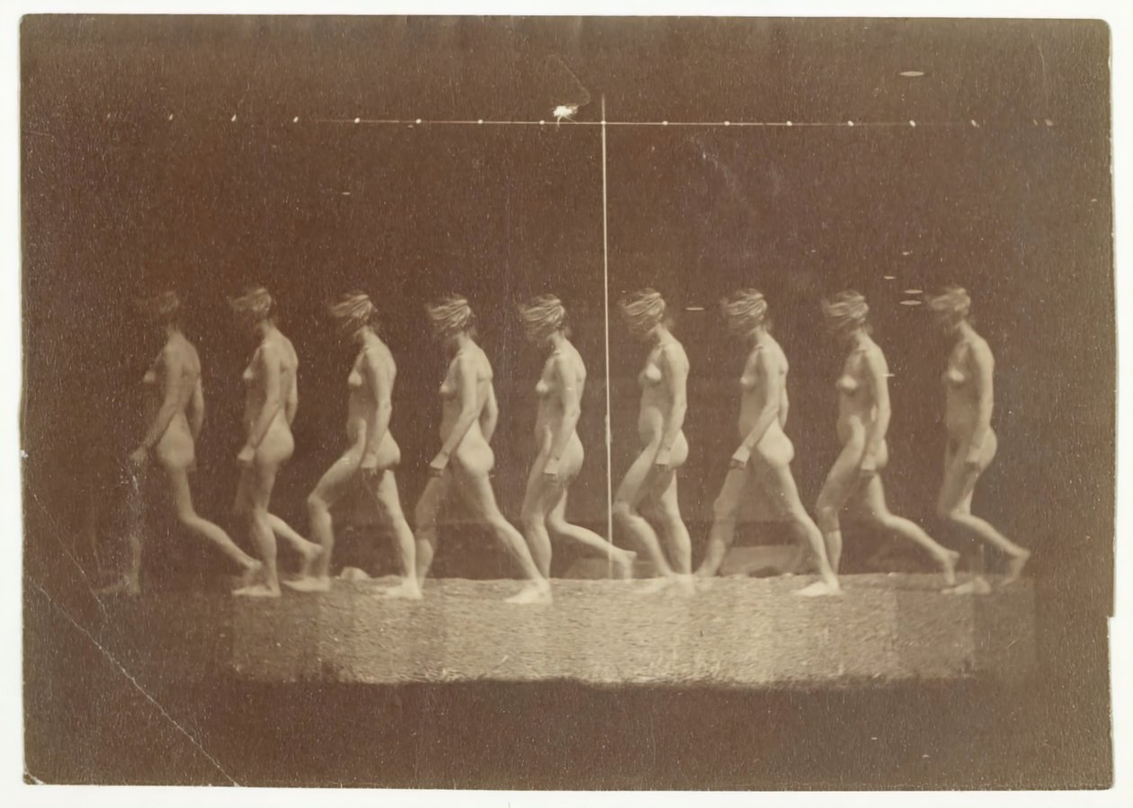 Marey Wheel-fotografier af uidentificeret model, 1884. af Thomas Eakins