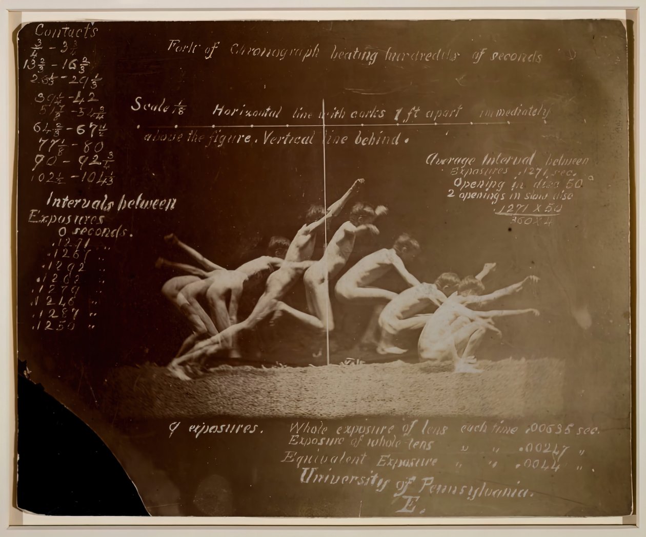 Marey Wheel-fotografier af uidentificeret model, med Eadweard Muybridge-notationer, 1884. af Thomas Eakins