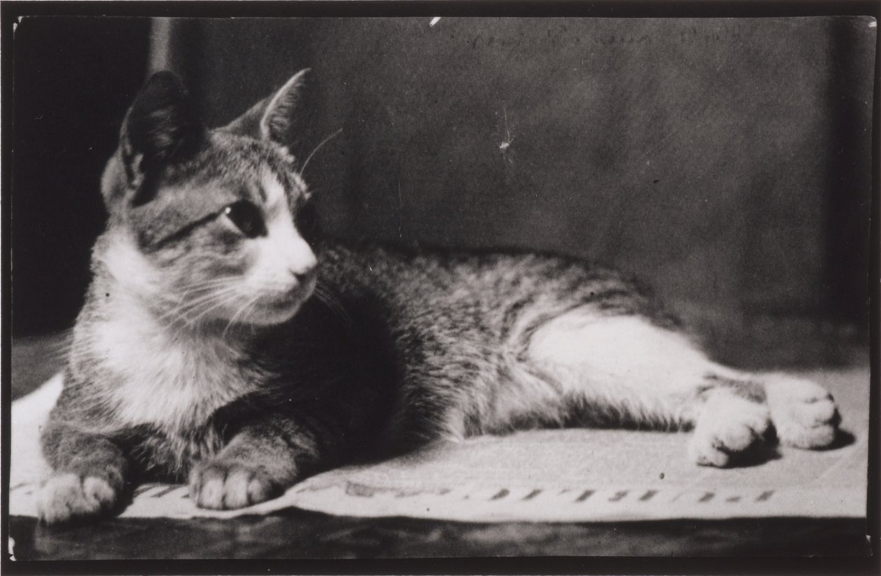 Fru Thomas Eakins