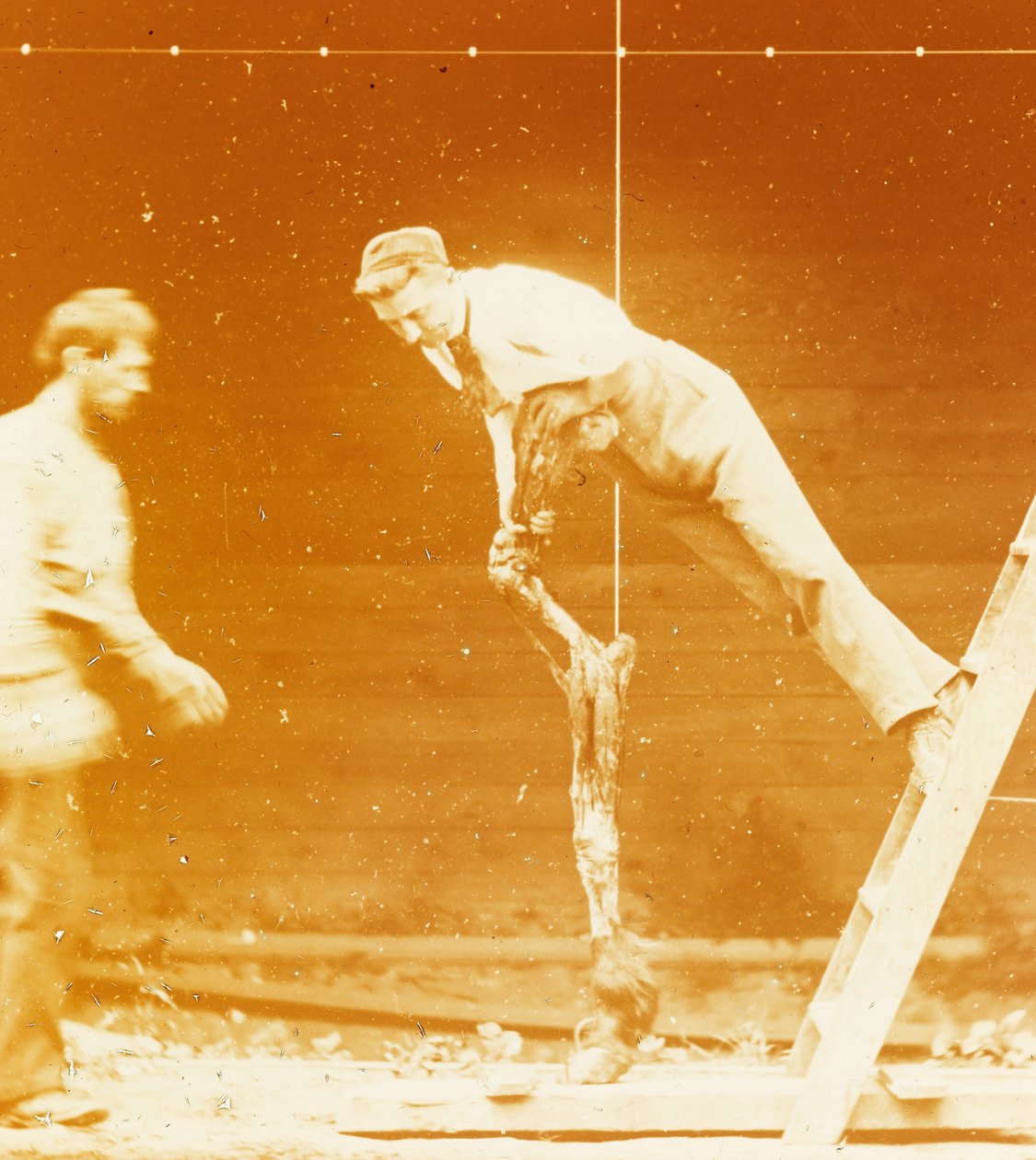 [Studie der Muskelaktion: Junger Mann lehnt an einem Pferdebein] af Thomas Eakins