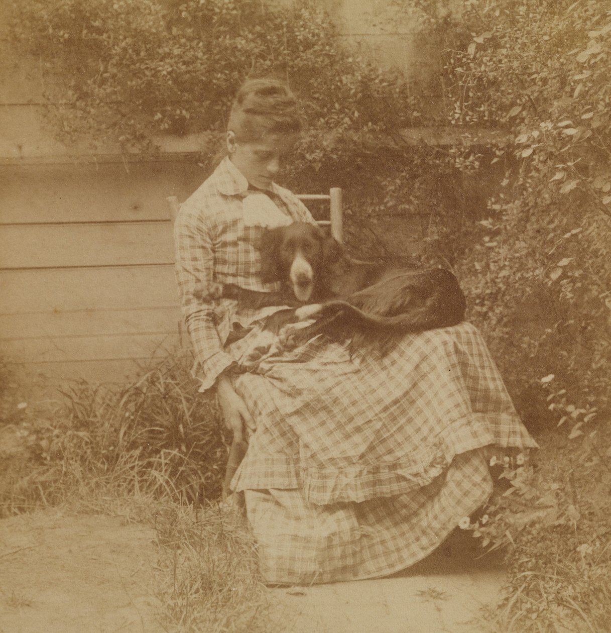 [Susan Macdowell (senere fru Thomas Eakins) med en setter] af Thomas Eakins