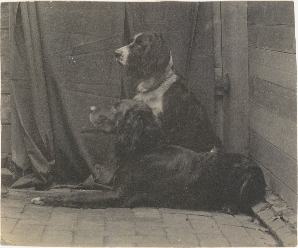 [Thomas Eakins