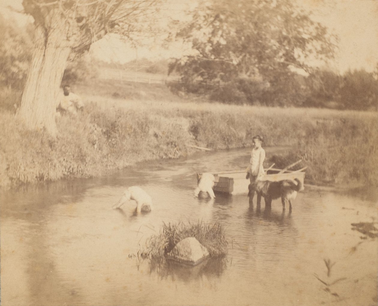 [Tre børn og en hund, der leger i åen, 4. juli 1883], 1883., 1883. af Thomas Eakins