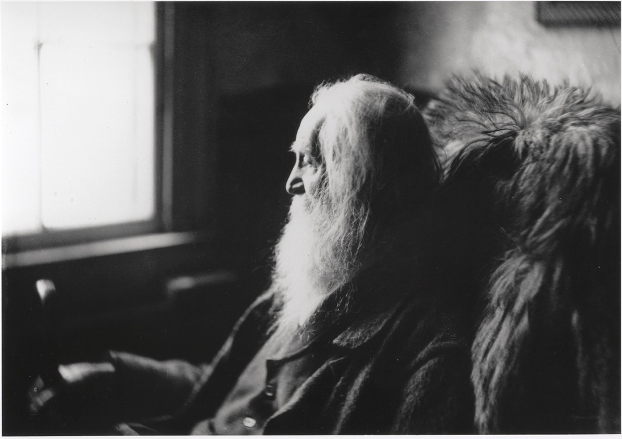 Walt Whitman i Camden, New Jersey af Thomas Eakins