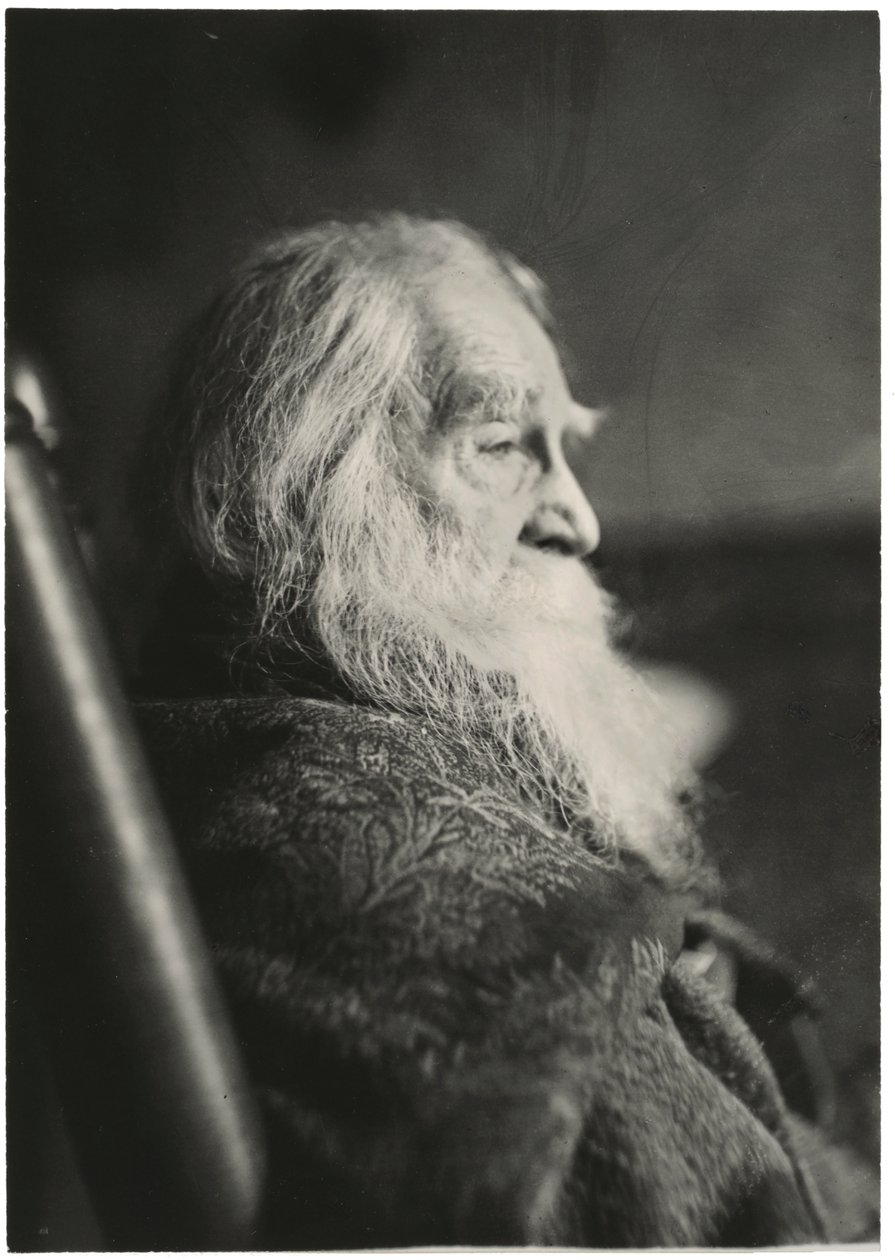 Walt Whitman i Camden, New Jersey af Thomas Eakins