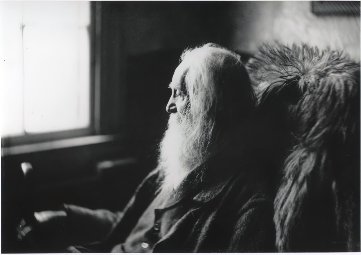 Walt Whitman i Camden, N.J., ca. 1891. af Thomas Eakins