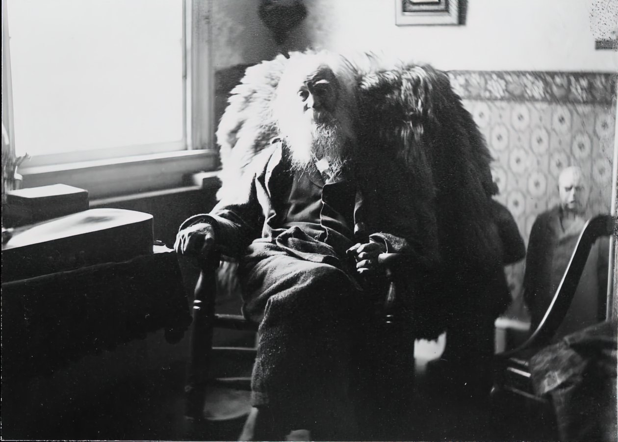 Walt Whitman i Camden, N.J., ca. 1891. af Thomas Eakins