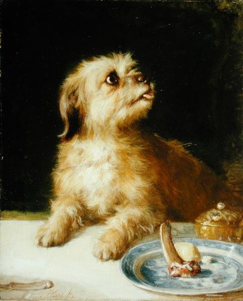 Norfolk Terrier af Thomas Earl