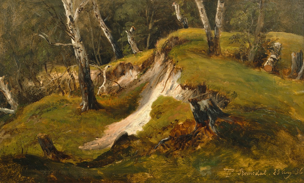 Birck-lagre i Romsdal af Thomas Fearnley