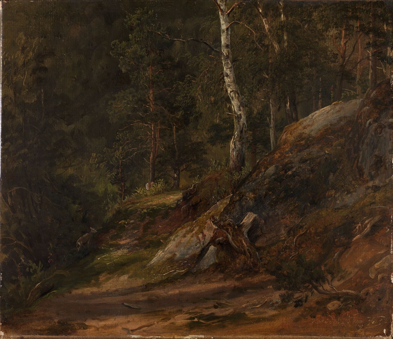 Skovstudie fra Romsdal af Thomas Fearnley