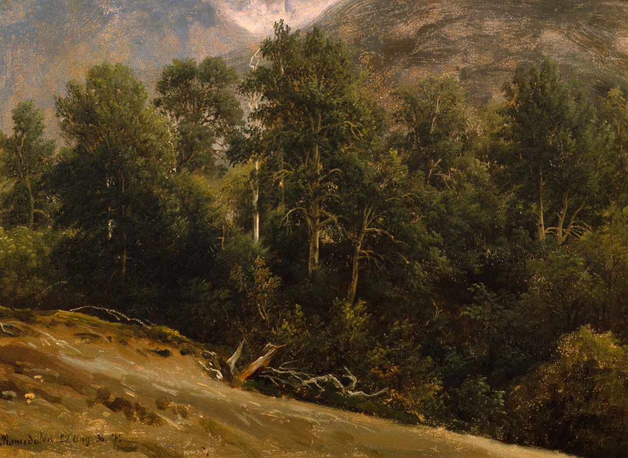 Skov i Romsdal af Thomas Fearnley