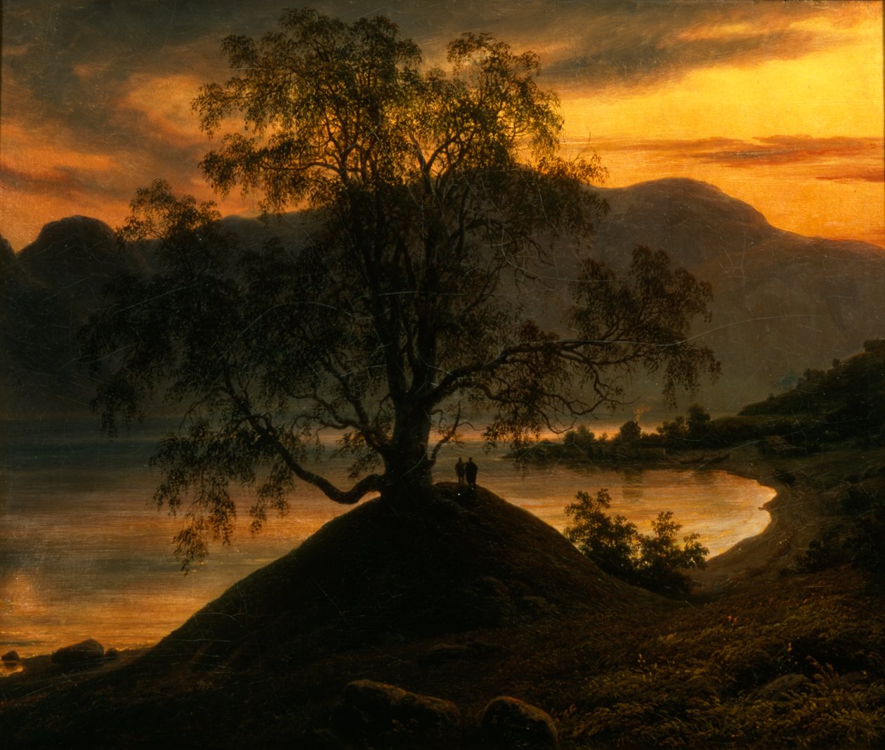 Slindrebirken af Thomas Fearnley