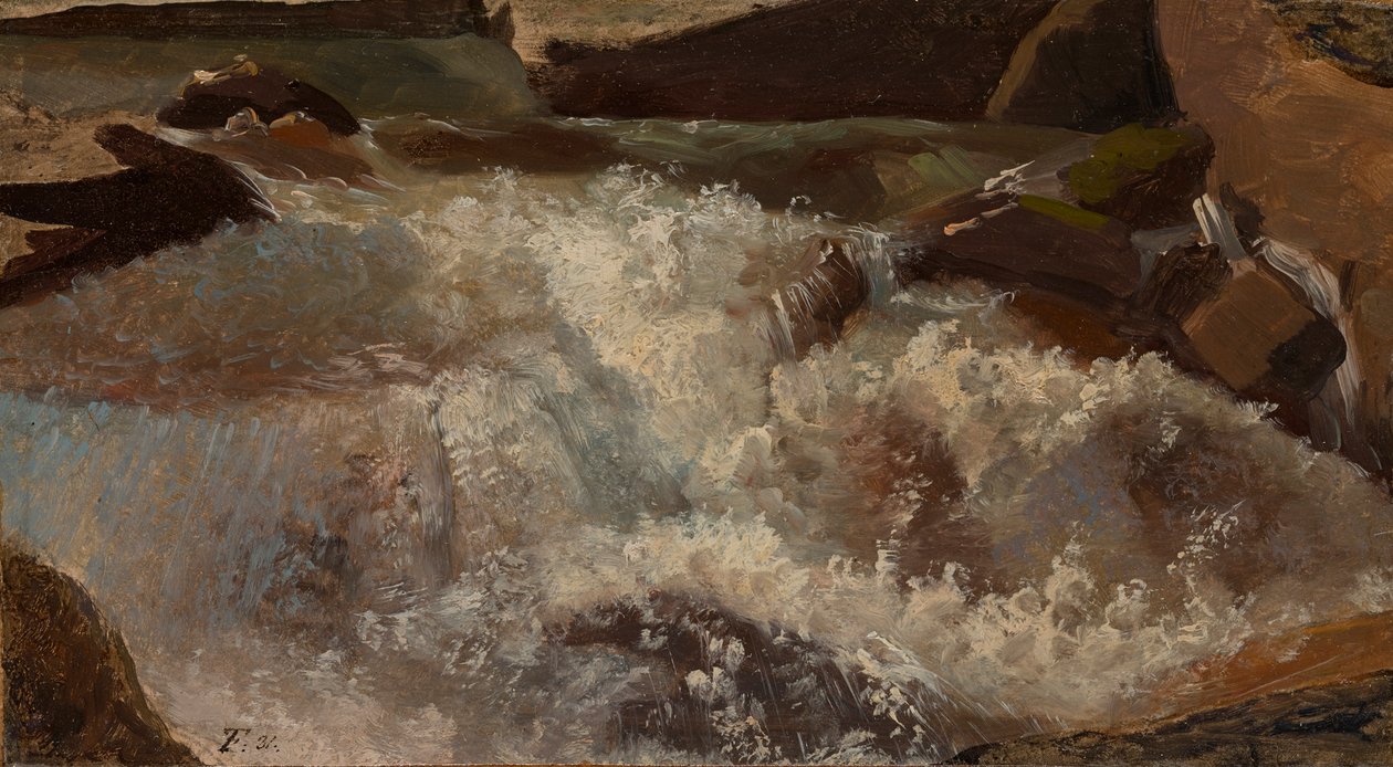Vildvand. Naturstudie af Thomas Fearnley