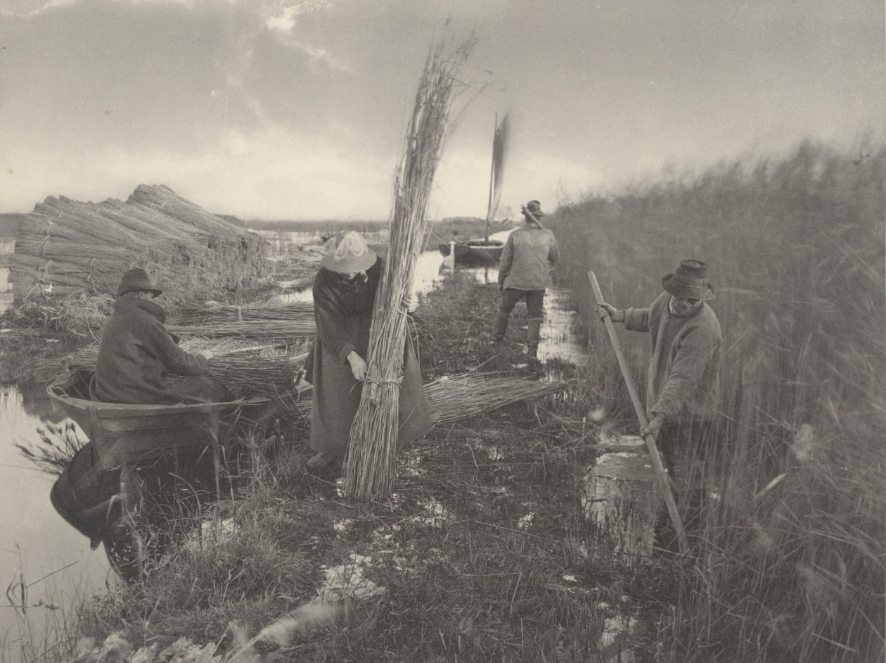 Under sivhøsten, 1886 (foto) af Thomas Frederick Goodall