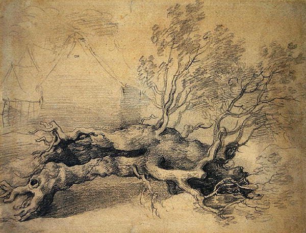 Et væltet træ med landbrugsbygninger hinsides (blyant på papir) af Thomas Gainsborough