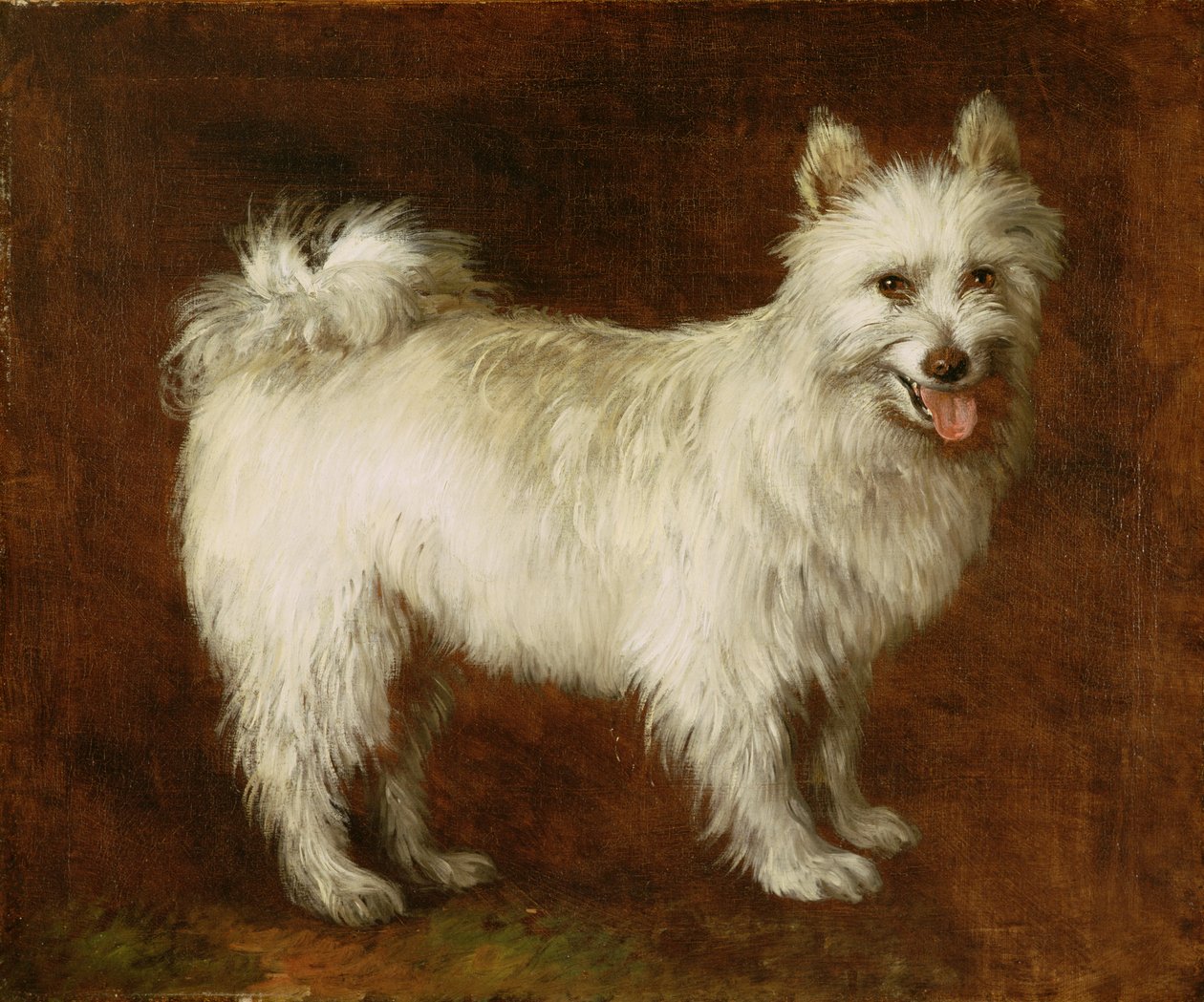 Spitz Dog, ca. 1760-70 (olie på lærred) af Thomas Gainsborough