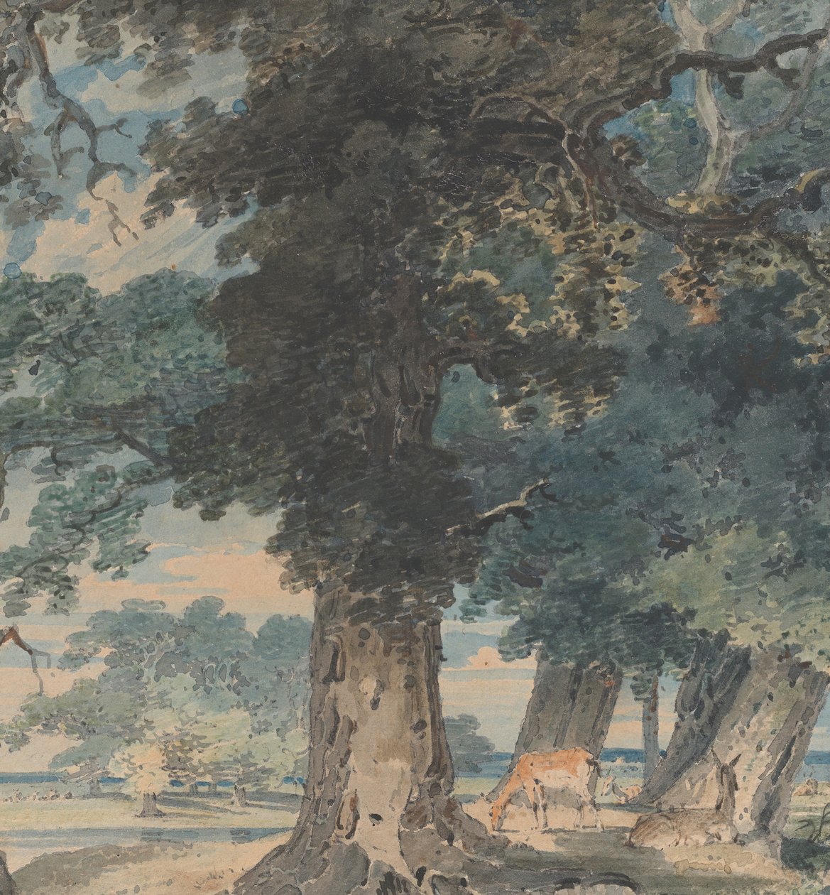 Hjorte i Windsor Forest, 1793-94. af Thomas Girtin
