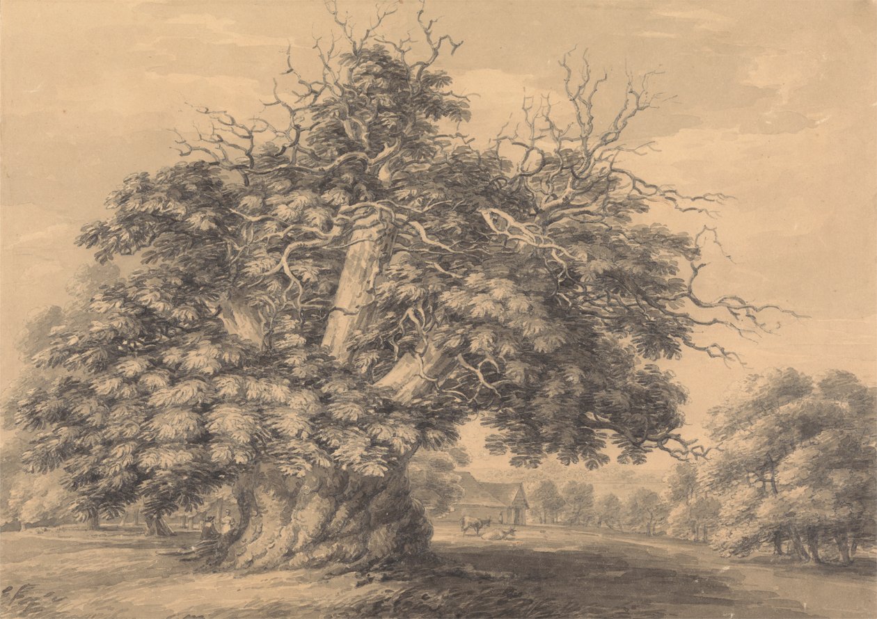 Kastanjetræet ved Little Wymondley, Hertfordshire af Thomas Hearne
