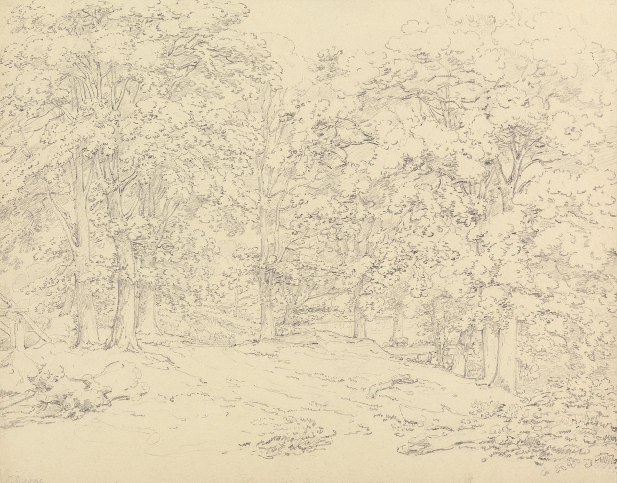 Træer i Ashtead Park, Surrey af Thomas Hearne