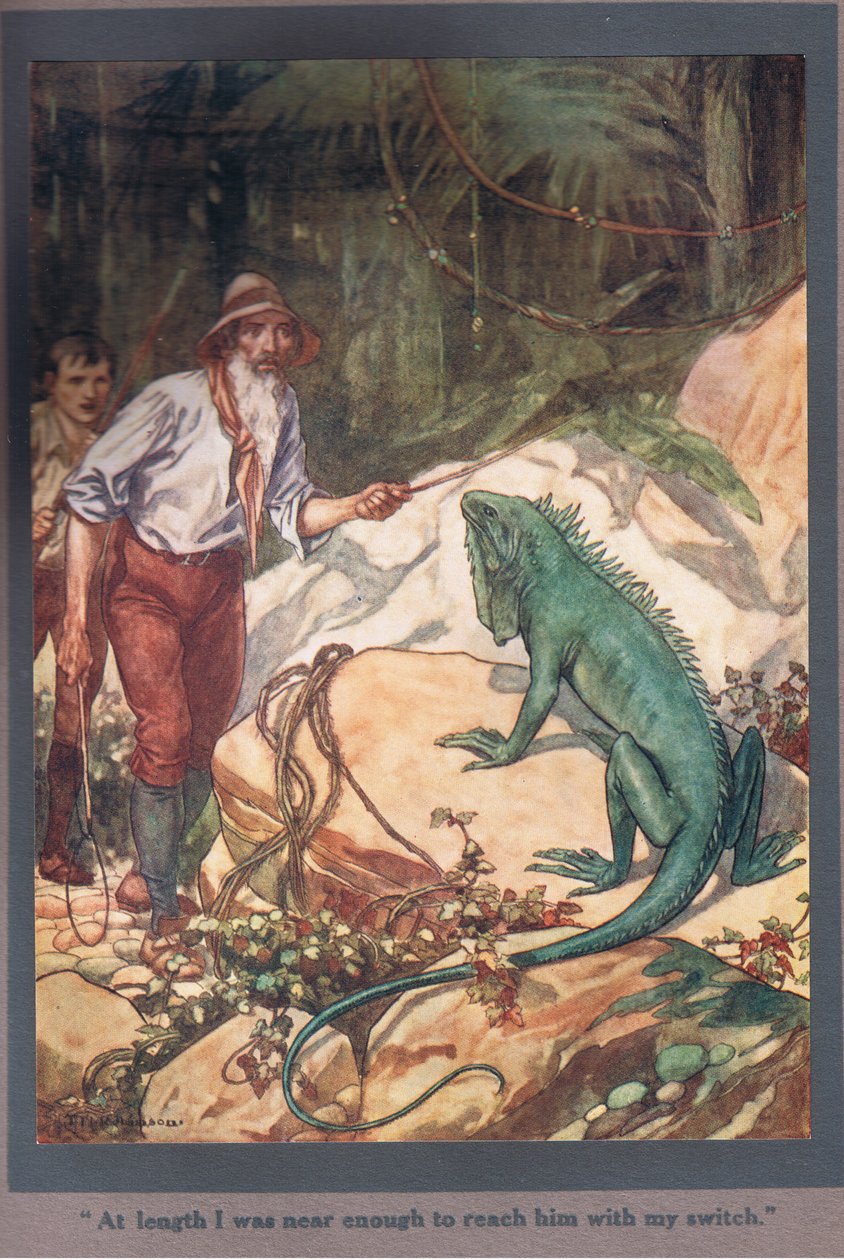 Til sidst var jeg tæt nok på til at nå ham med min kontakt (farvelitografi) af Thomas Heath Robinson