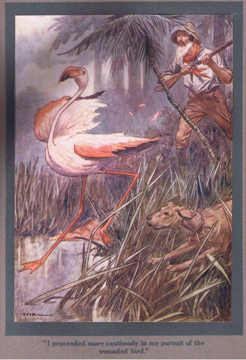 Jeg gik mere forsigtigt frem i min jagt på den sårede fugl (farvelitografi) af Thomas Heath Robinson
