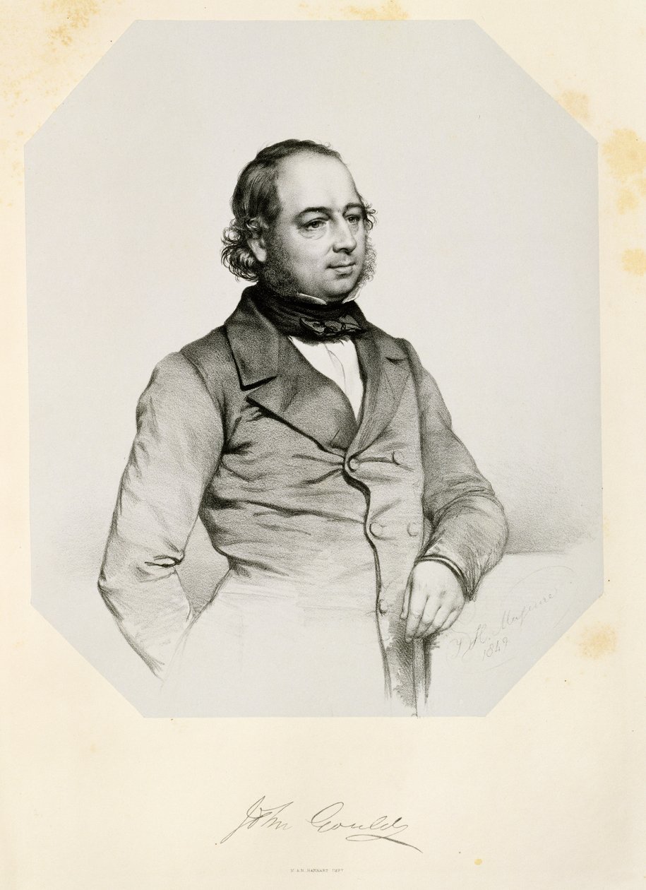 John Gould (1804-81) 1849 af Thomas Herbert Maguire