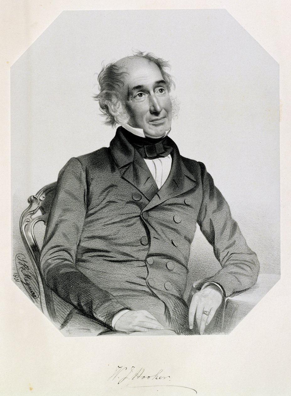 Sir William Jackson Hooker (1785-1865) 1851 af Thomas Herbert Maguire