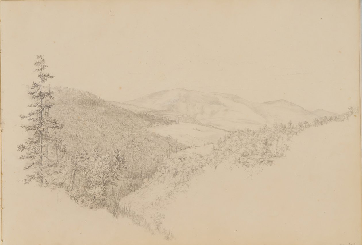 Kauterskill Clove fra Sketchbook of Landscape and Animal Subjects, ca. 1860-64. af Thomas Hewes Hinckley