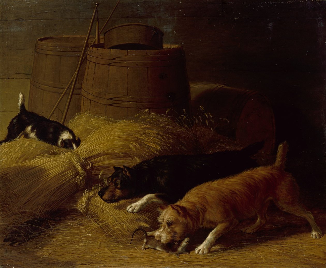Rotter blandt bygskive, 1851. af Thomas Hewes Hinckley