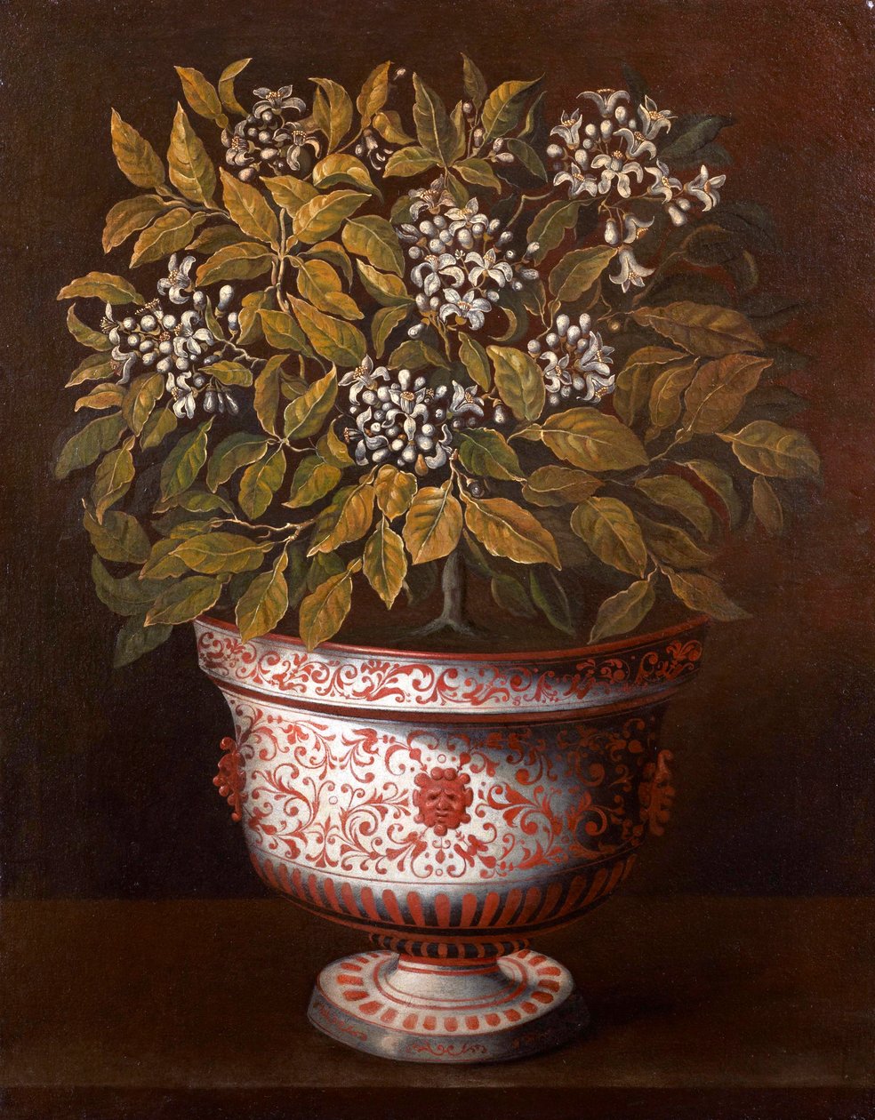 Terracotta vase med en orange busk i blomst af Thomas Hiepes