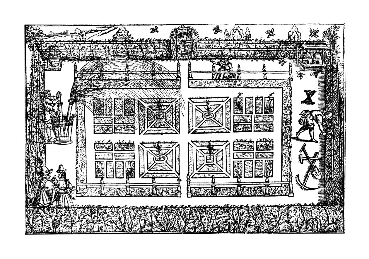 En have, fra "Gartnerens labyrint", 1577 af Thomas Hill