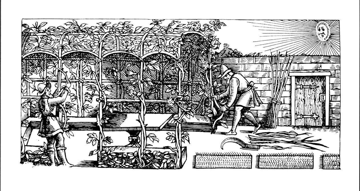Arbor bygges som en skygge mod solen, fra 
