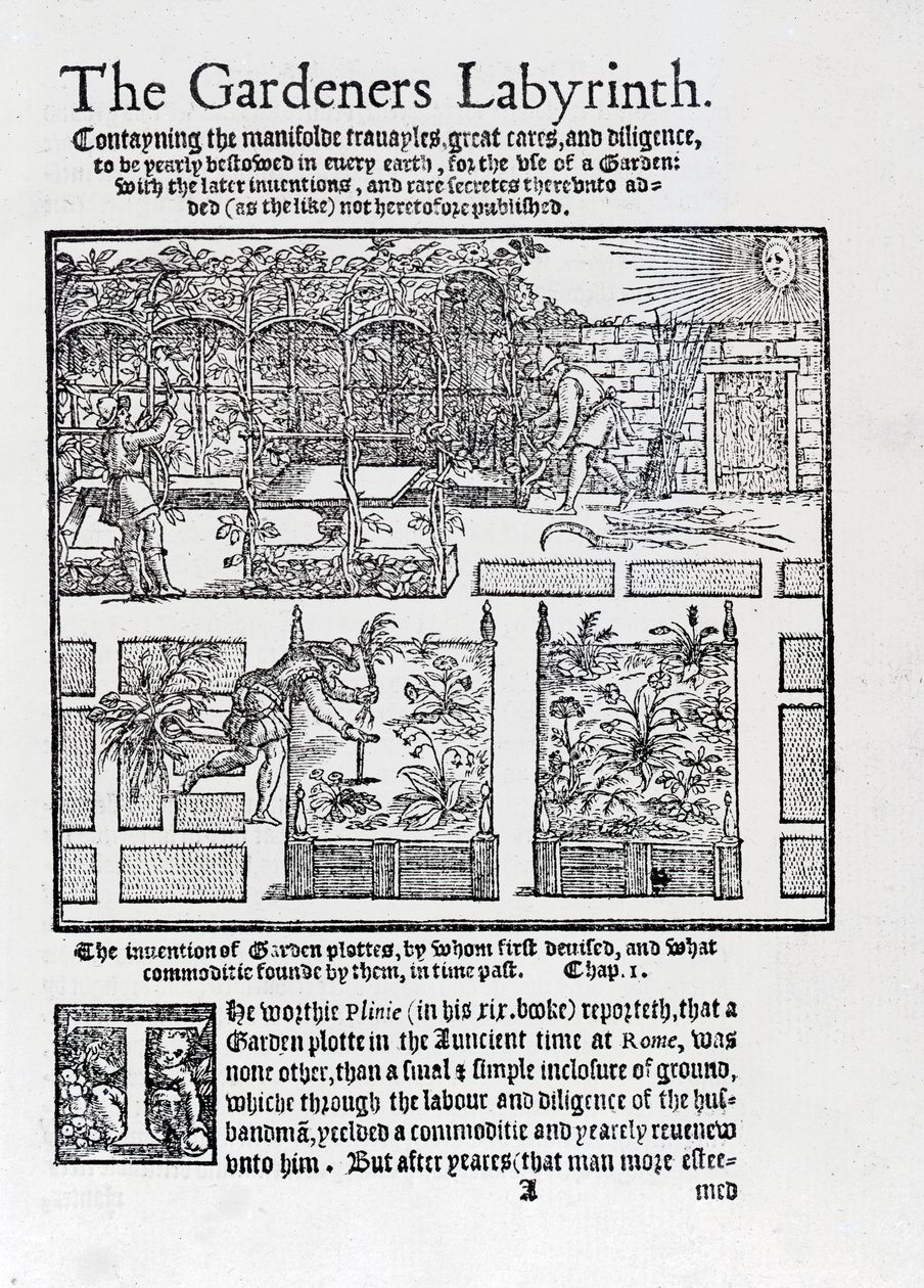 Lysthus bygget som en skygge mod solen og beplantning i højbede, fra The Gardeners Labyrinth, 1577 af Thomas Hill