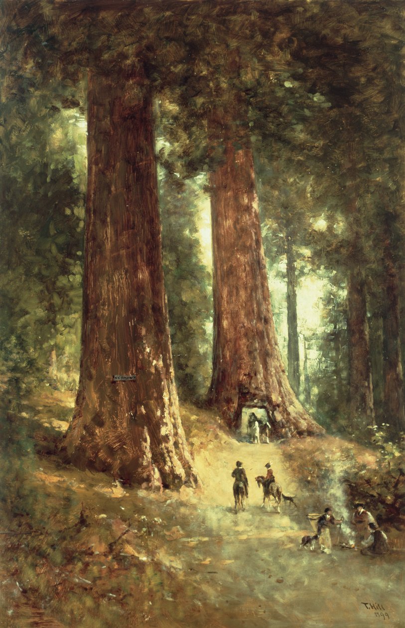 I Redwoods, 1899 af Thomas Hill