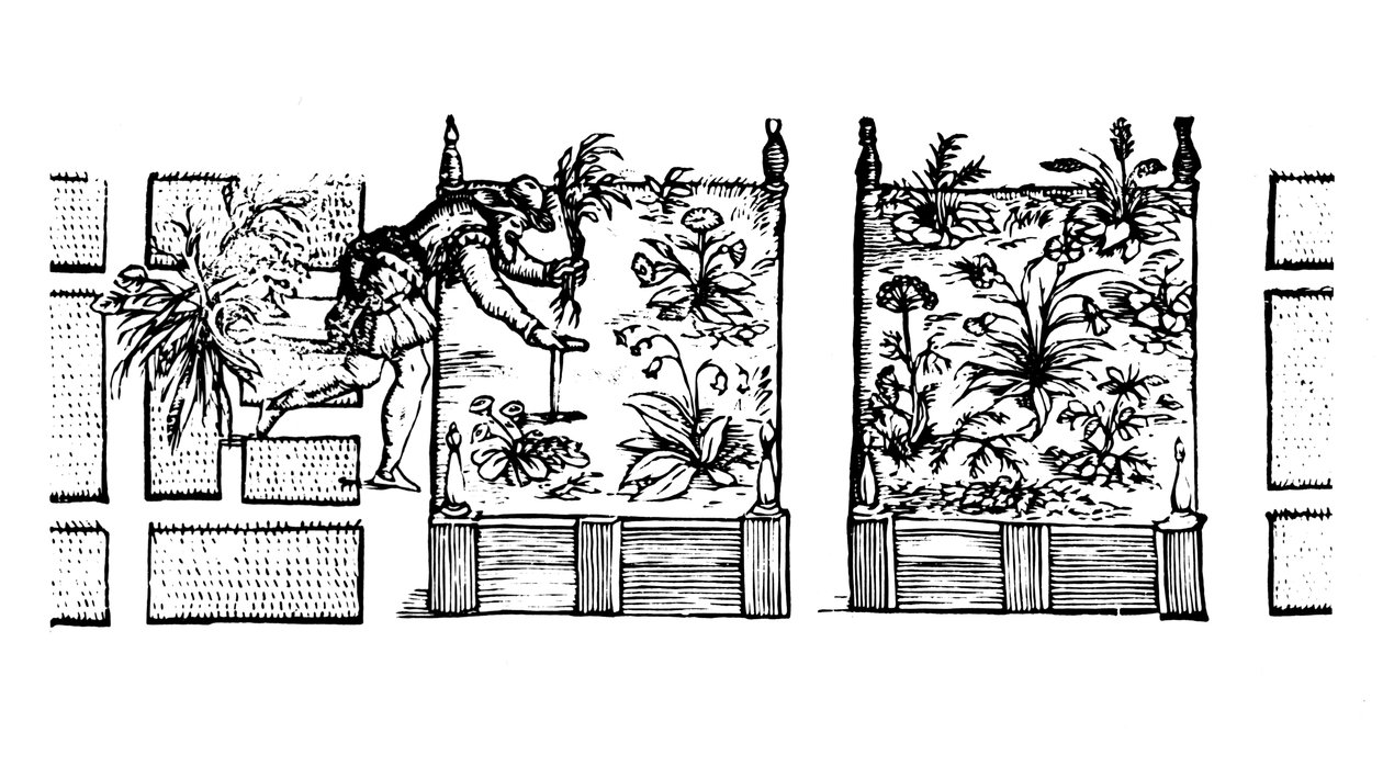 Plantning i højbede, fra "The Gardener