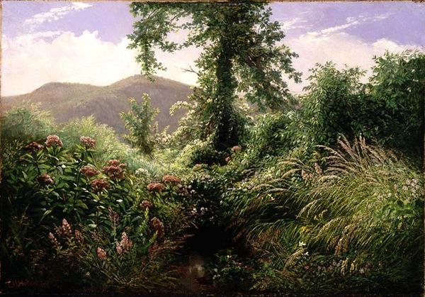 Catskill Mountains, Shandaken, New York (olie på lærred) af Thomas Hiram Hotchkiss