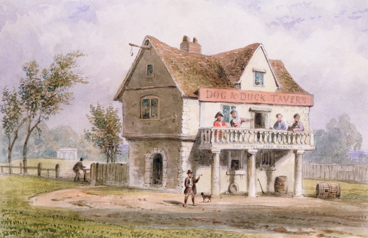 Udsigt over den gamle hund og and, St. George
