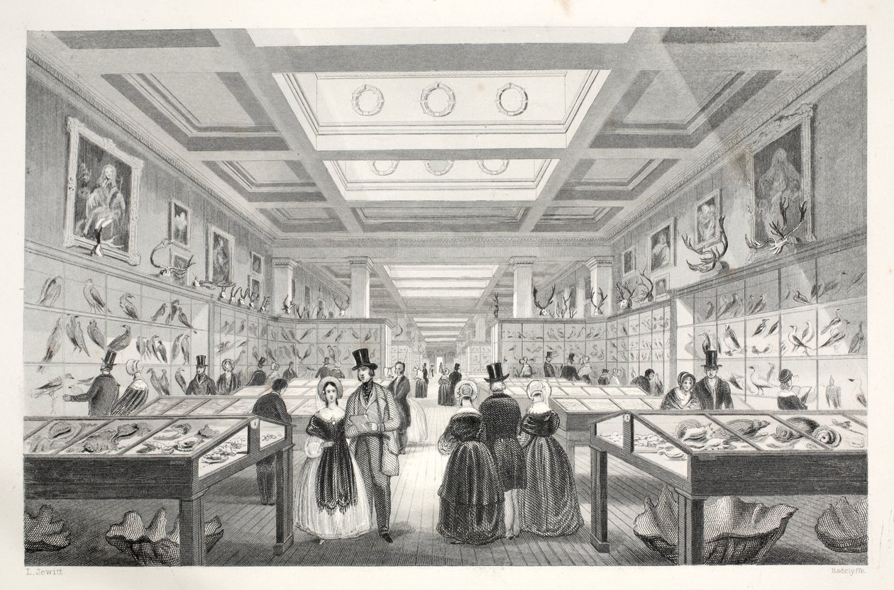 British Museum, Zoological Gallery, fra pubben 