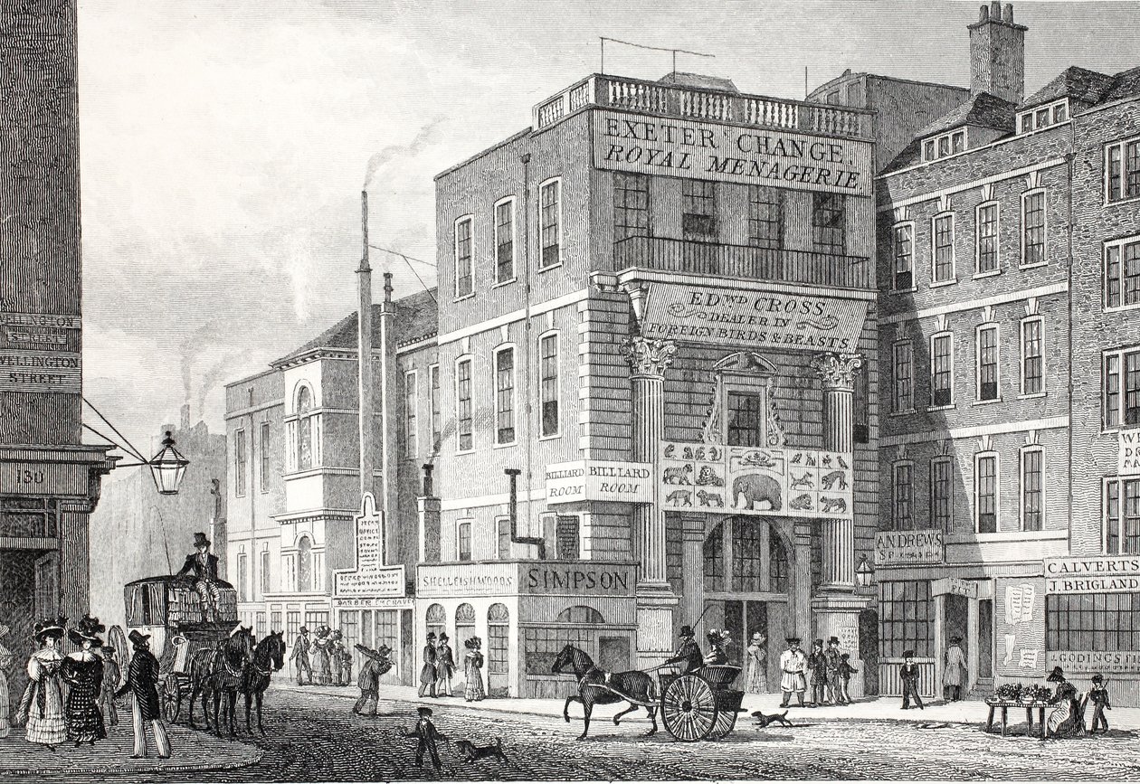 Exeter Change, Strand, fra "London and it