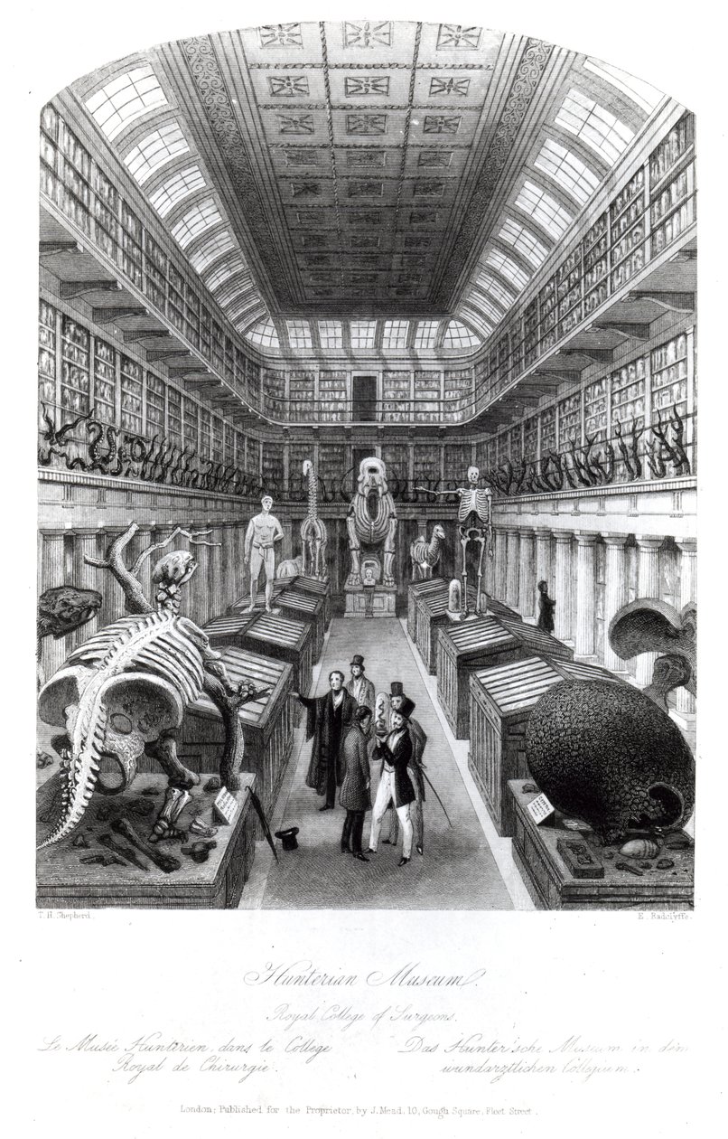 The Hunterian Museum, illustration til 