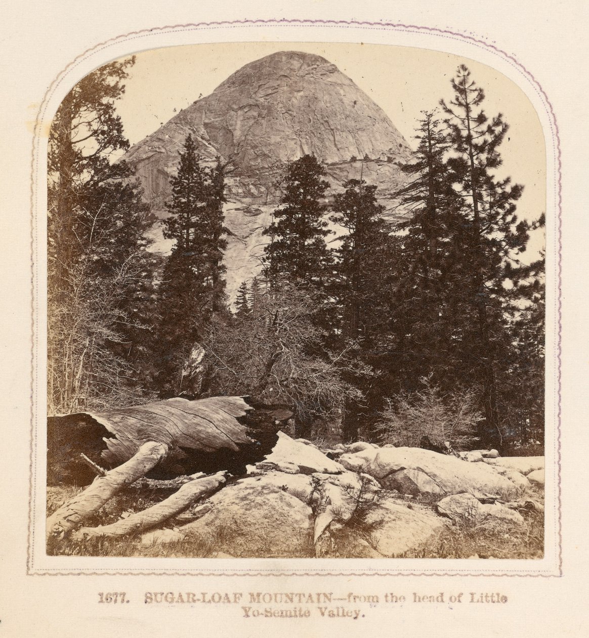 Sugar-Loaf Mountain - fra begyndelsen af Little Yo-Semite Valley af Thomas Houseworth
