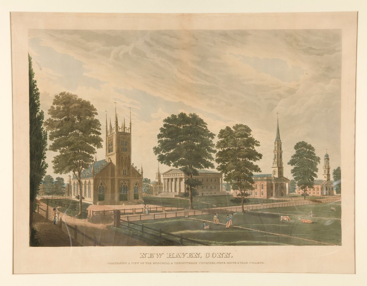 New Haven, Connecticut (Stokes 30) af Thomas Illman