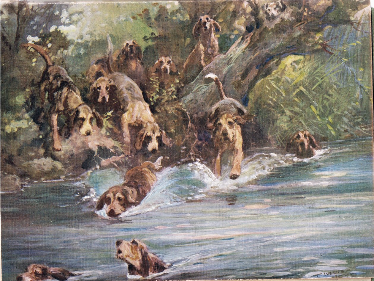 Into the River, illustration fra 