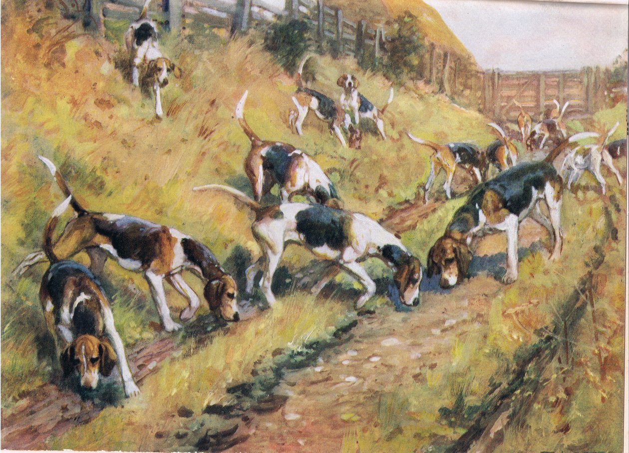 Næsen mod jorden, illustration fra "Hounds af Thomas Ivester Lloyd