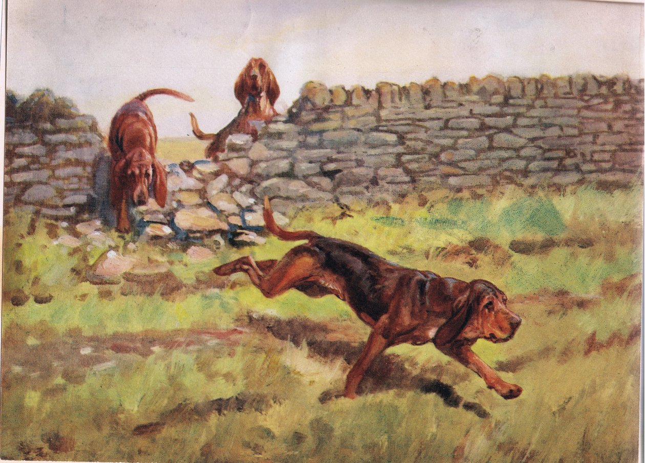 Over the Wall, illustration fra "Hounds af Thomas Ivester Lloyd