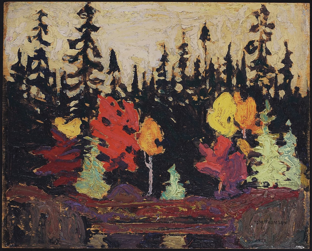 Sort gran og ahorn, 1915 (olie på træpanel) af Tom Thomson