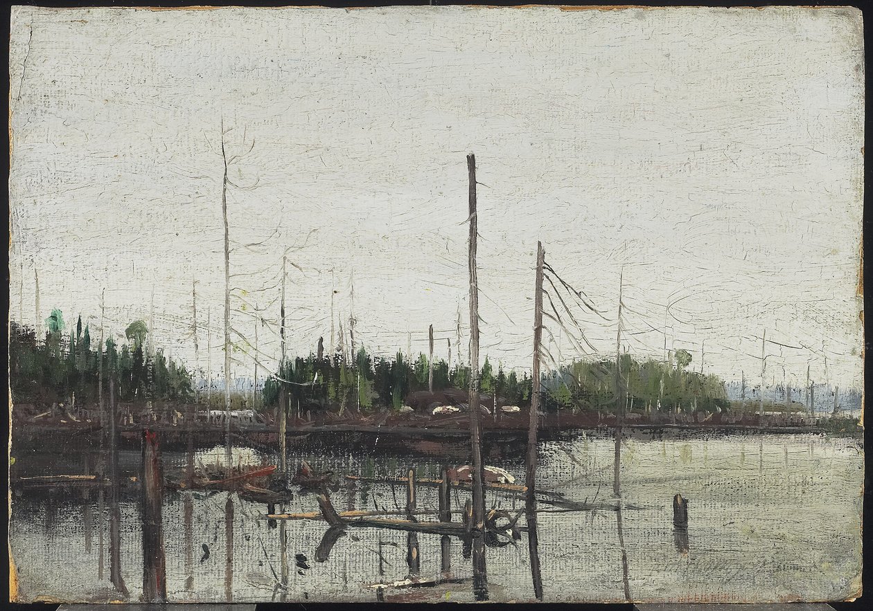 Drowned Land, 1912 (olie på papir (med præget lærredstekstur) på træ) af Tom Thomson